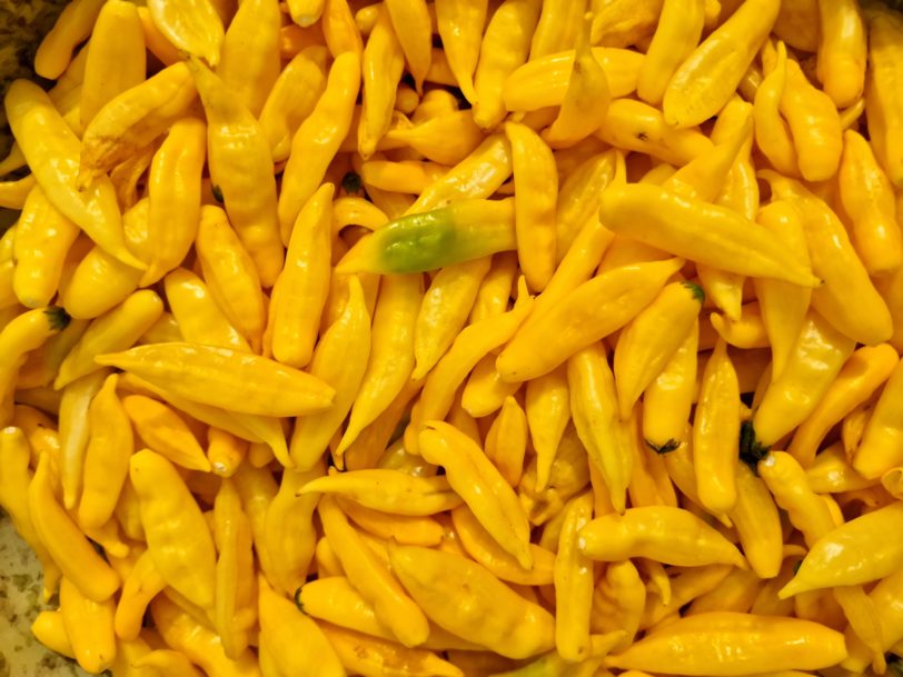 Aji Lemon Drop Chilli Seeds