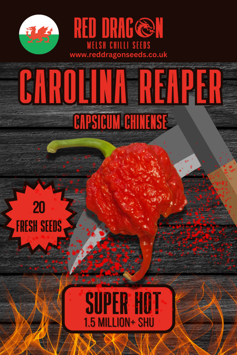 Carolina Reaper Chilli Seeds