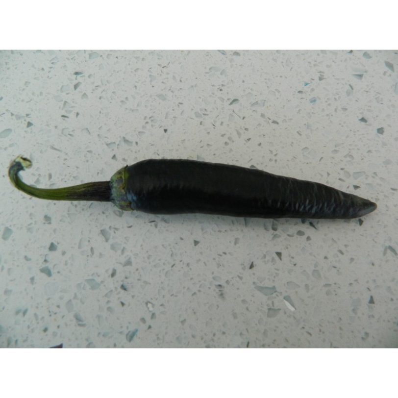 Czech Black - Image 3