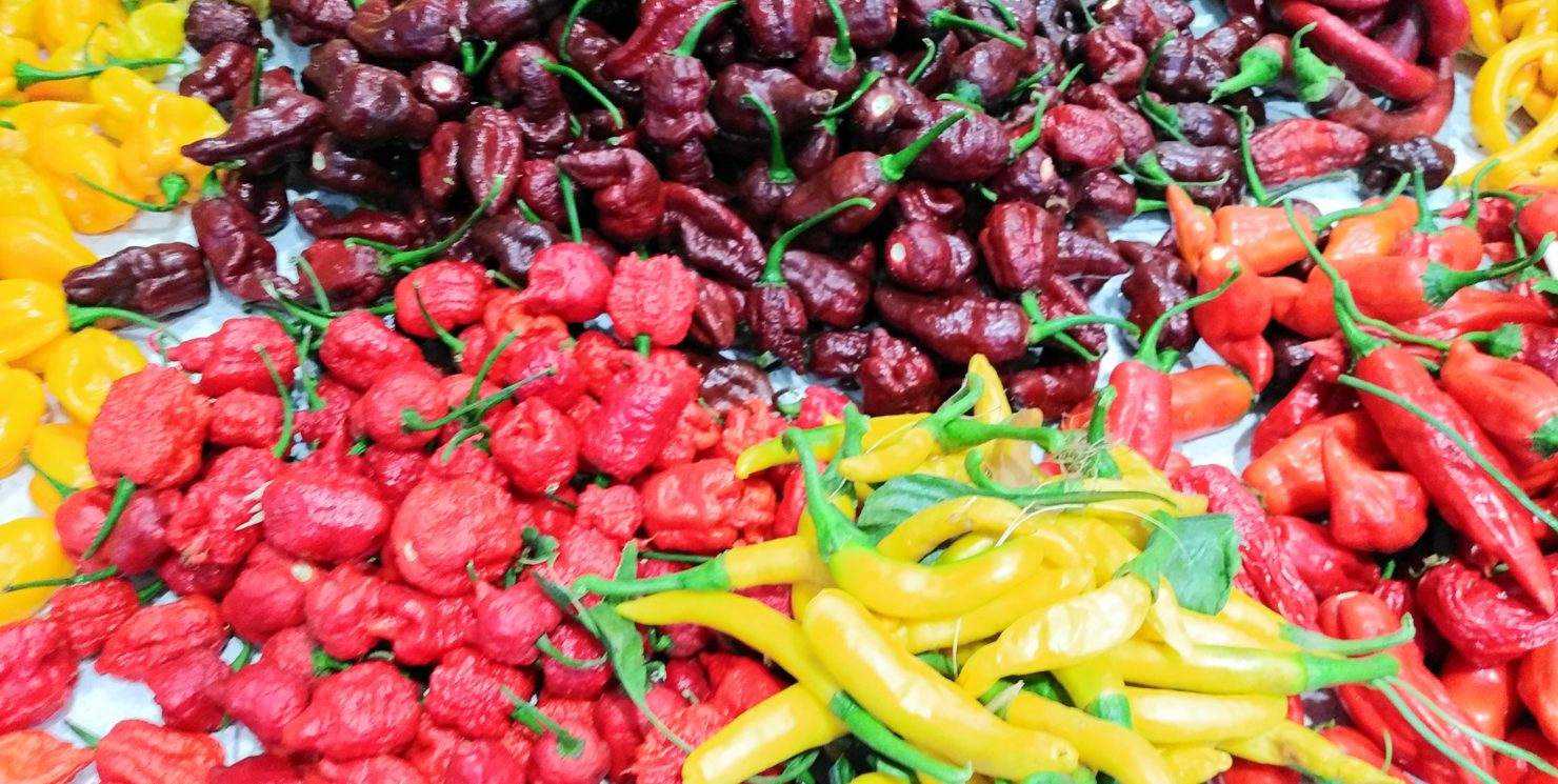 Scoville Heat Units Pepper Chart