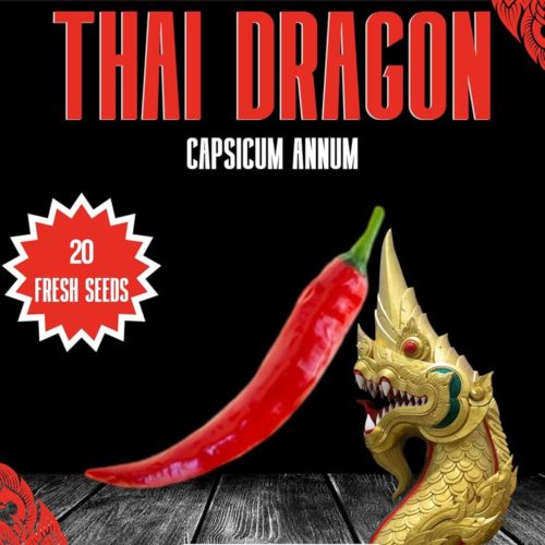 Thai Dragon