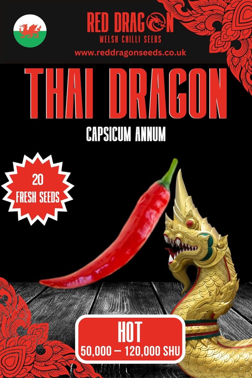 Thai Dragon