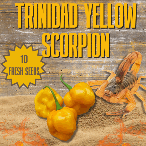 thumbnail image 2 of 12 Kraken Scorpion Pepper Seeds - Grow Your Own Super-Hot Chili Peppers 2 of 5