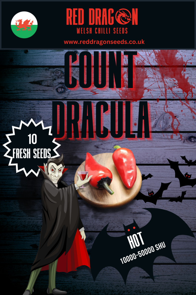 Count Dracula Chilli Seeds