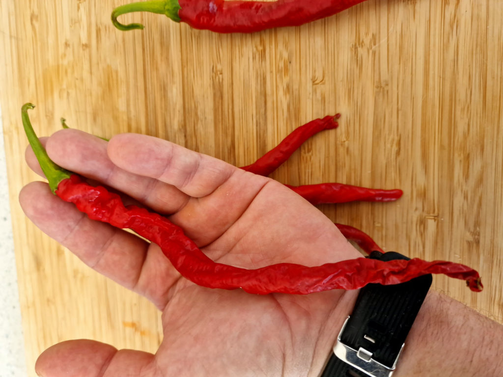 HJ7 Super Nova Space Chilli Seeds - HJ7 Super Nova Space Pepper Seeds ...