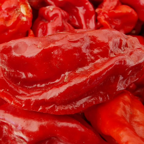 7 Pot Lobotomy Red Chilli Seeds