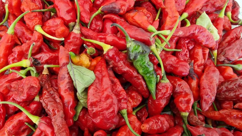 Black Ghost Chilli Seeds