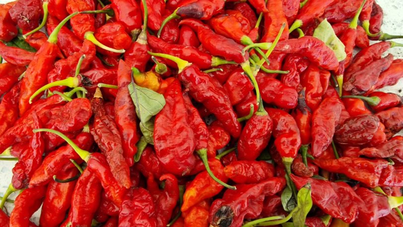 Black Ghost Chilli Seeds - Image 7
