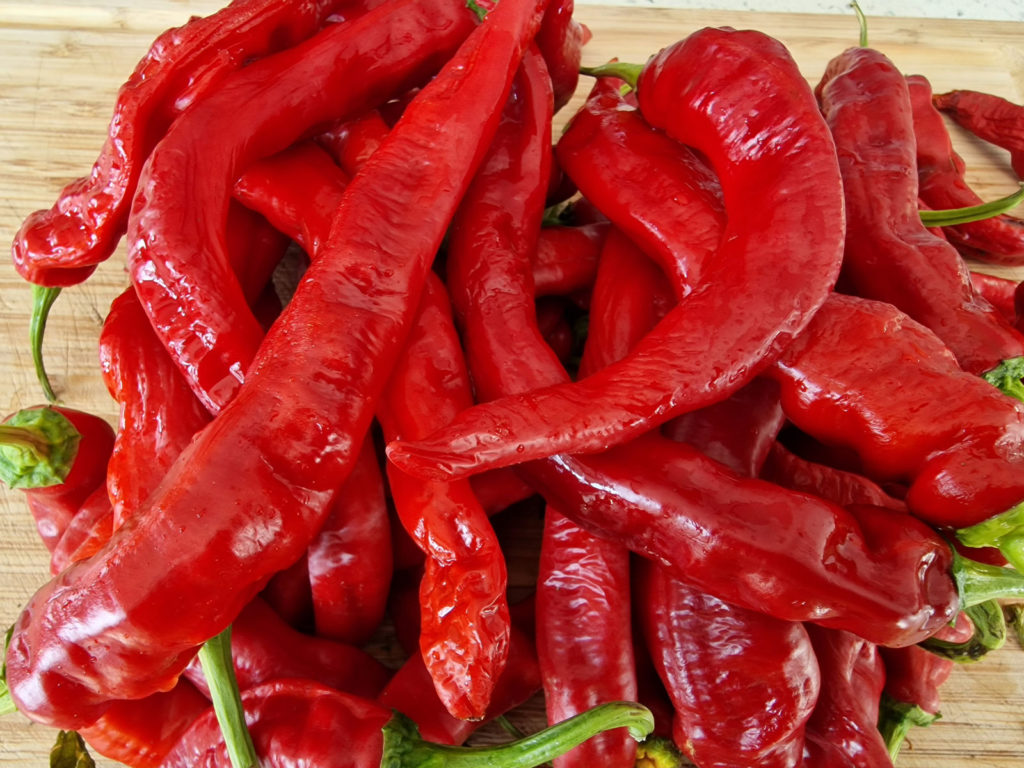 HJ8 Total Eclipse Space Chilli Seeds - HJ8 Total Eclipse Space Pepper ...