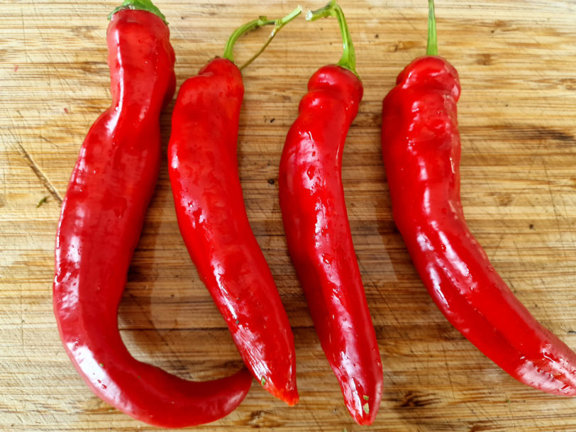 Hangjiao HJ1 Space Chilli Seeds