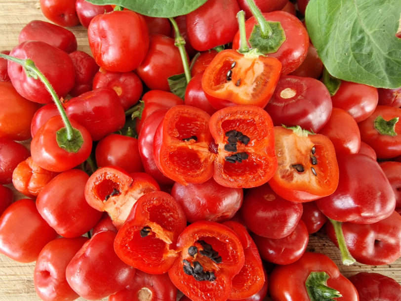 Rocoto Red Pepper Seeds