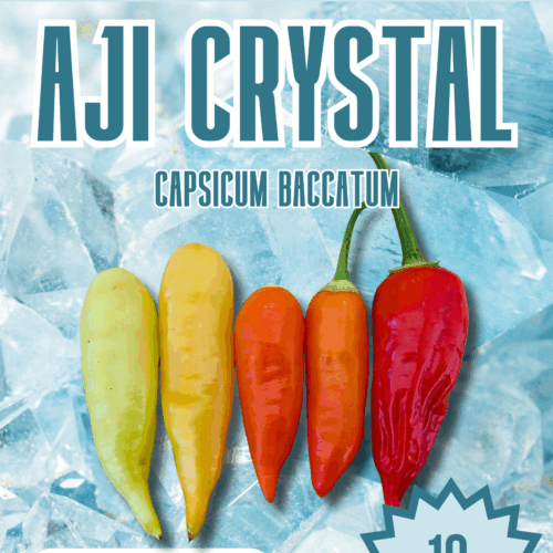 Aji Crystal Chilli Seeds