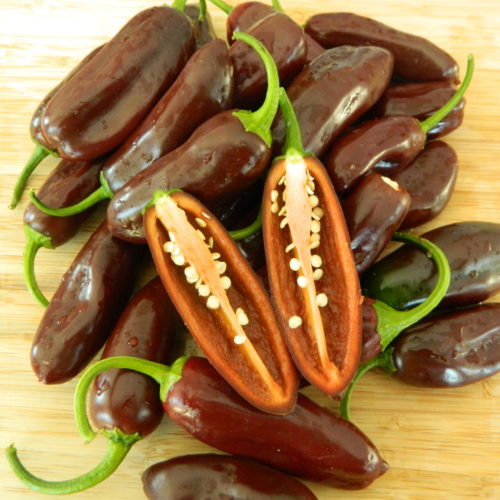 Brown Jalapeno Seeds