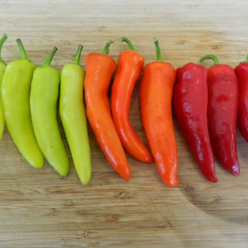 Hungarian Hot Wax Chilli Seeds