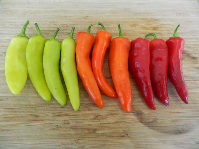 Hungarian Hot Wax Chilli Seeds