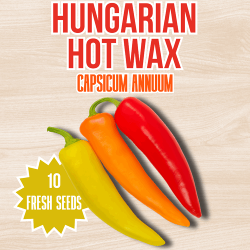 Hungarian Hot Wax Chilli Seeds