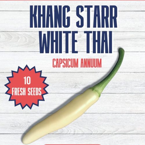 Khang Starr White Thai Chilli Seeds