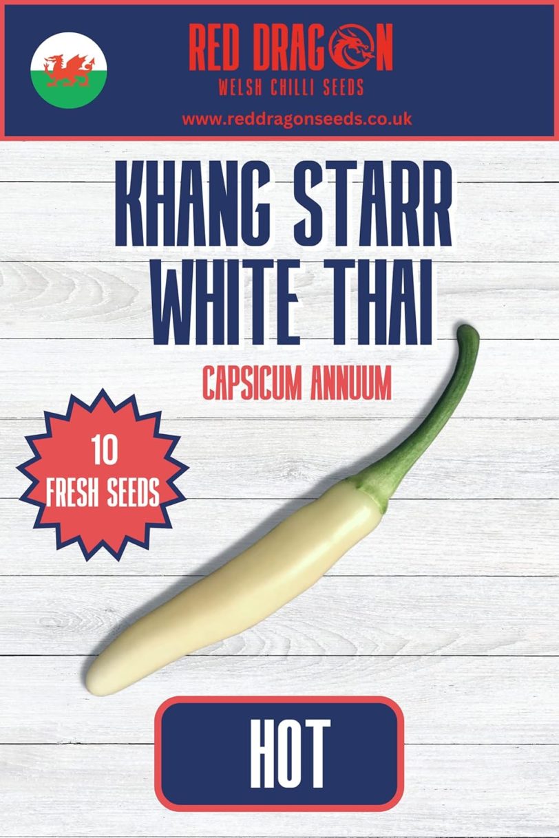 Khang Starr White Thai Chilli Seeds