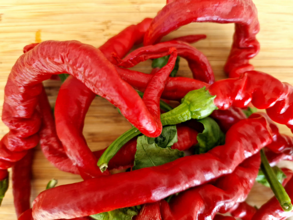 HJ2 Meteor Space Chilli Seeds - Hangjiao 2 Meteor Space Pepper Seeds ...