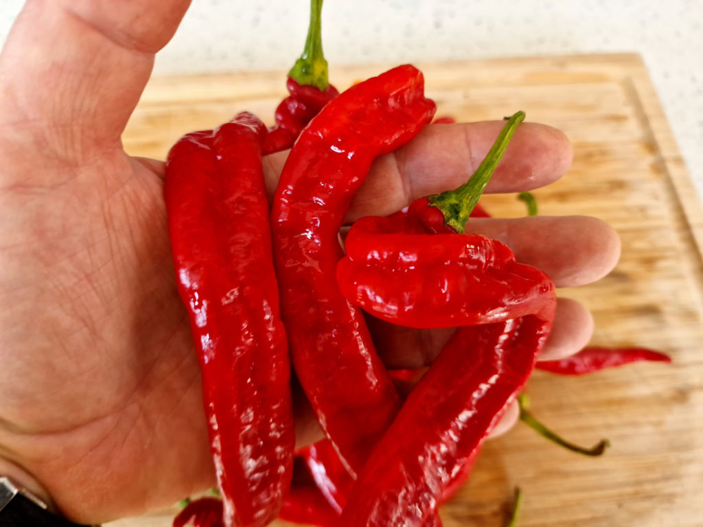 HJ2 Meteor Space Chilli Seeds - Hangjiao 2 Meteor Space Pepper Seeds ...