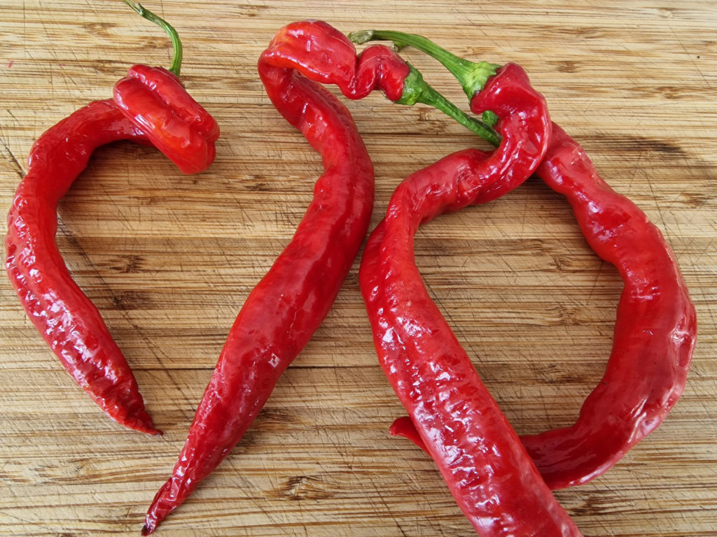 Hangjiao Space Chilli Seeds Variety Pack - Full Pack of all 10 ...
