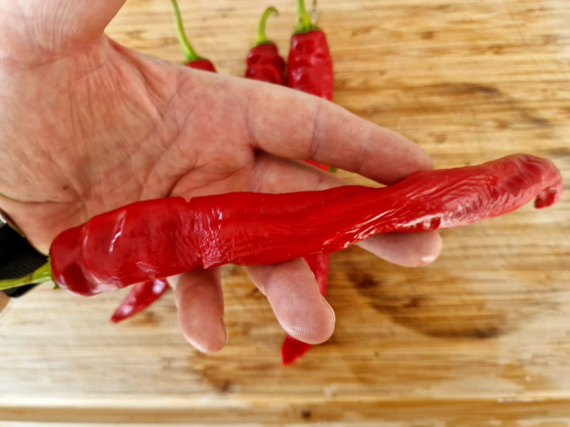 Hangjiao Space Chilli Seeds Full Pack - Image 8