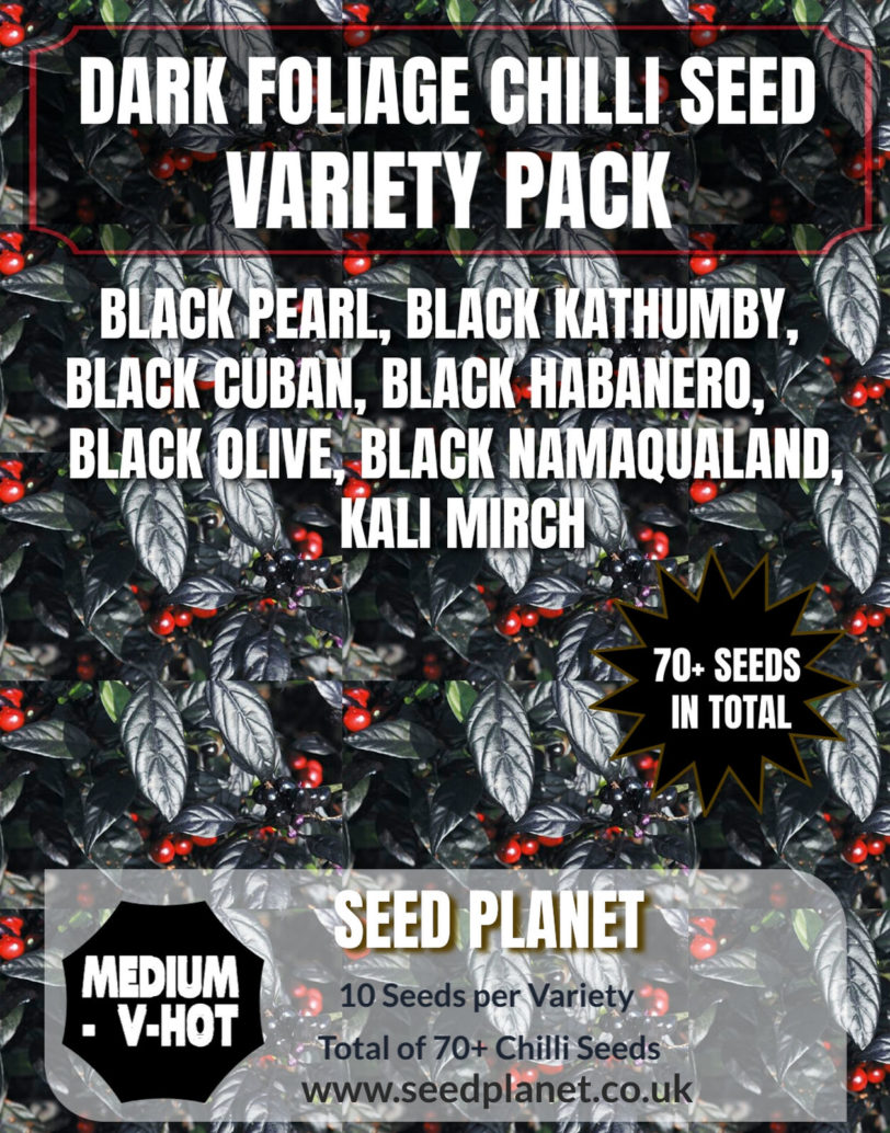 Dark Foliage Chilli Seed Variety Pack