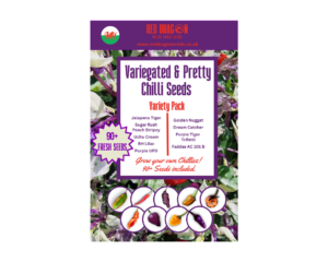 Beautiful, Variegated and Pretty Chilli Pepper Seeds Variety Pack