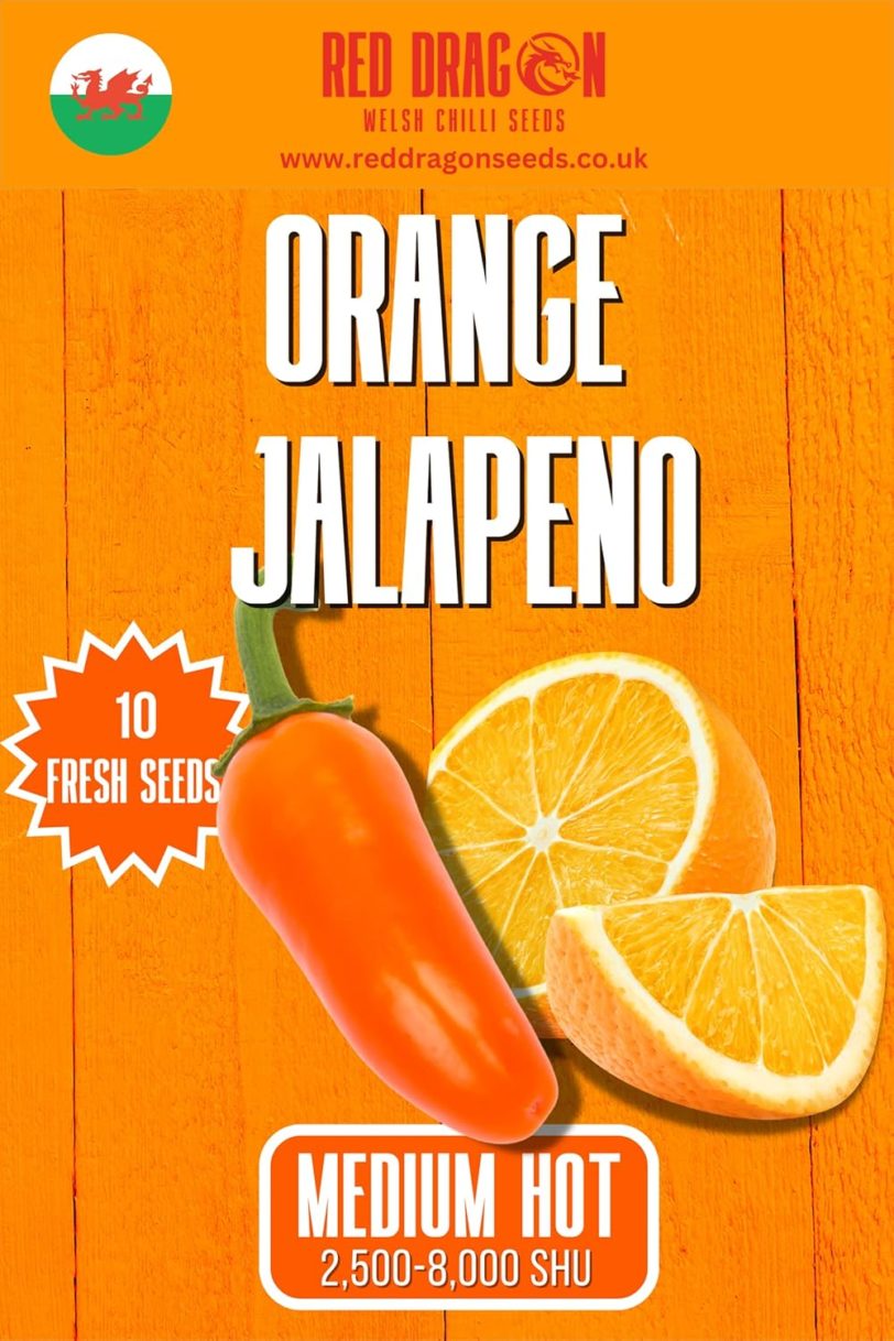The Incredible Jalapeno Variety Pack - Six Different Varieties of The Jalapeño Pepper - Image 5