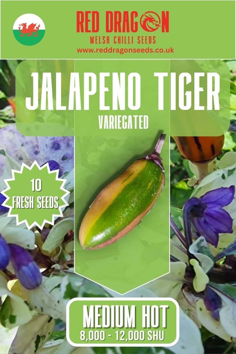The Incredible Jalapeno Variety Pack - Six Different Varieties of The Jalapeño Pepper - Image 8