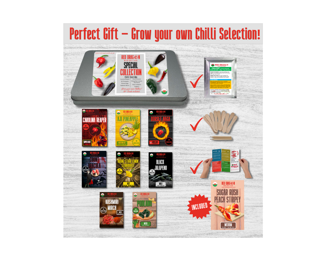 Chilli Seed Special Collection