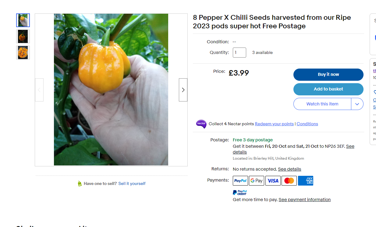 Pepper X Chilli Seeds Pepper X Seeds For Sale Red Dragon Seeds
