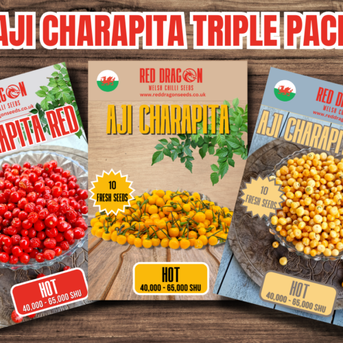 Aji Charapita Triple Pack