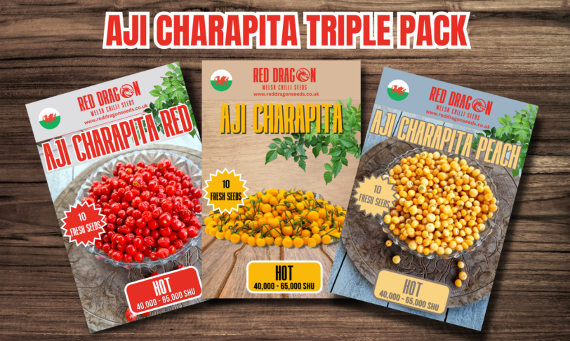 Aji Charapita Triple Pack