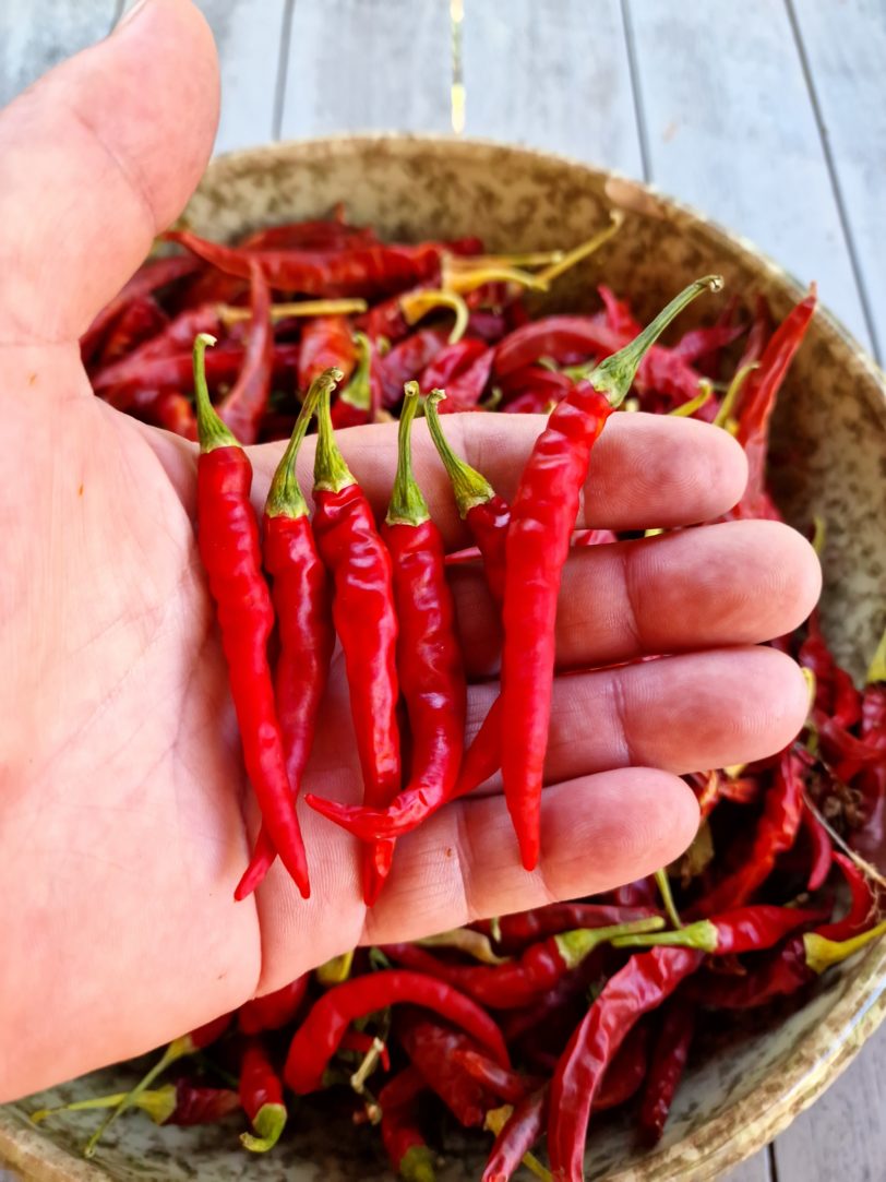 Ring of Fire Chilli Seeds