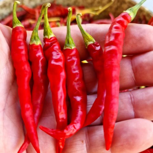 Ring of Fire Chilli Seeds