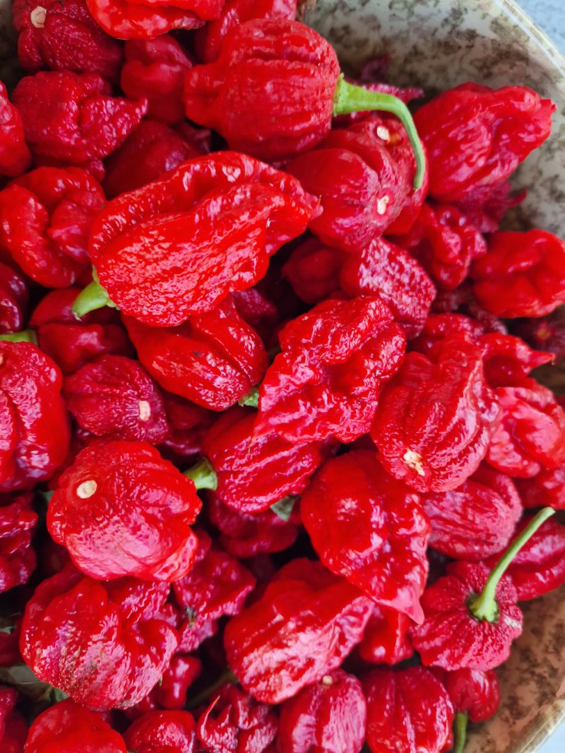 Deadpool Chilli Seeds