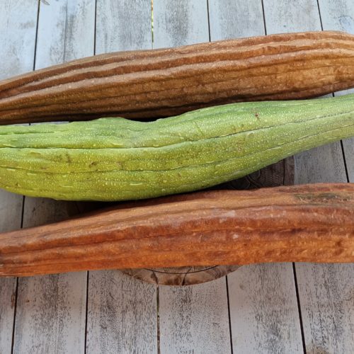 Luffa Gourd Seeds