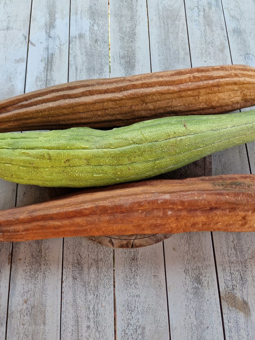 Luffa Gourd Seeds