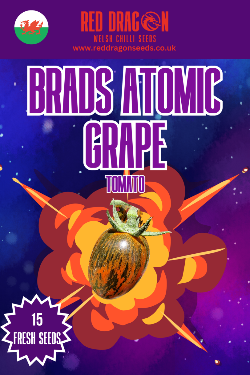 Brads Atomic Grape Tomato Seeds