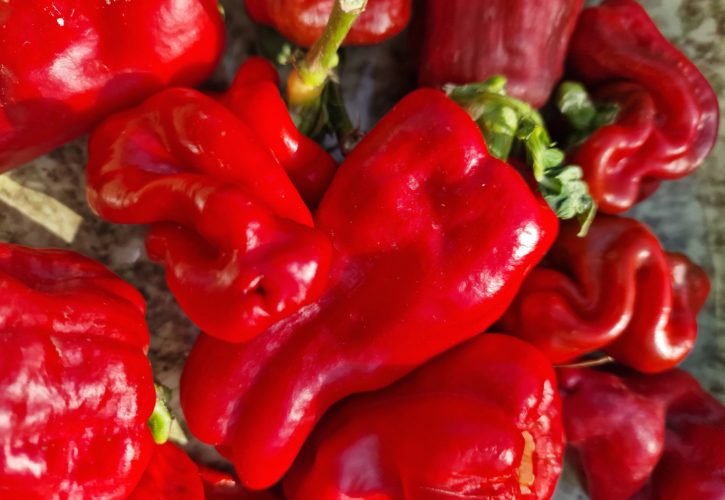 Urfa Biber Chilli Seeds