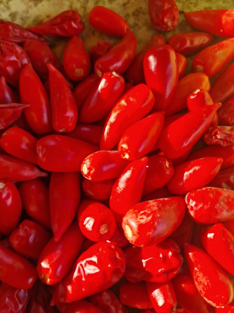 Serrano Monte D'oro Chilli Seeds