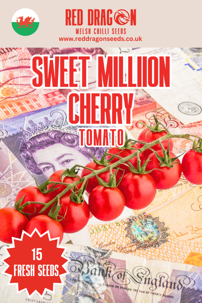 Sweet Million Cherry Tomato Seeds - Sweet Million Cherry Tomato - Red ...