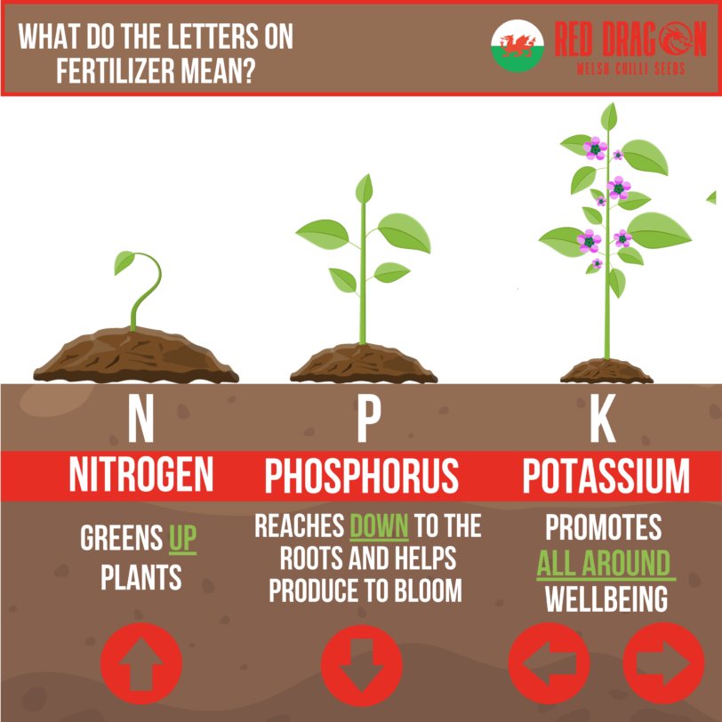 SuperFert Plant Fertiliser