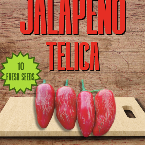 Jalapeno Telica Chilli Seeds