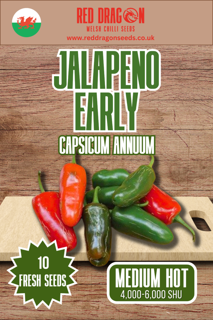Jalapeno Early Chilli Seeds Jalapeno Early Pepper Seeds Red Dragon