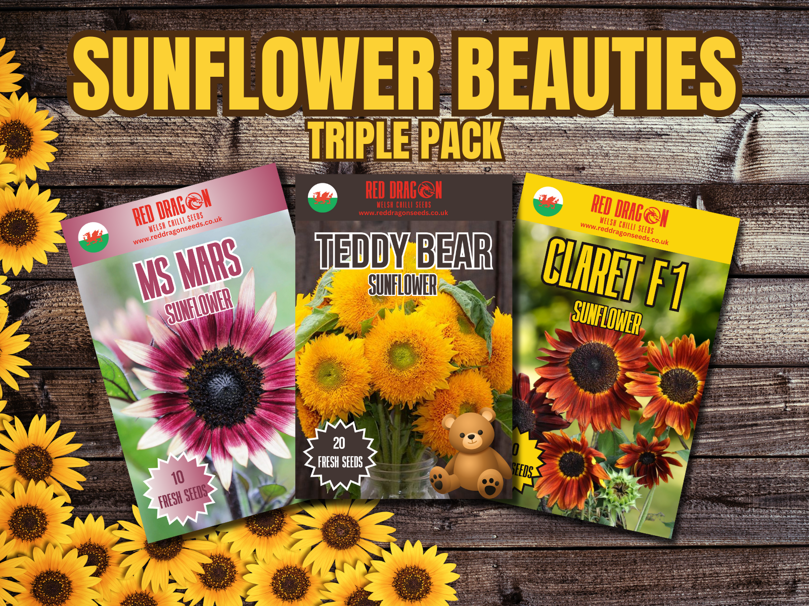Sunflower Beauties Triple Pack