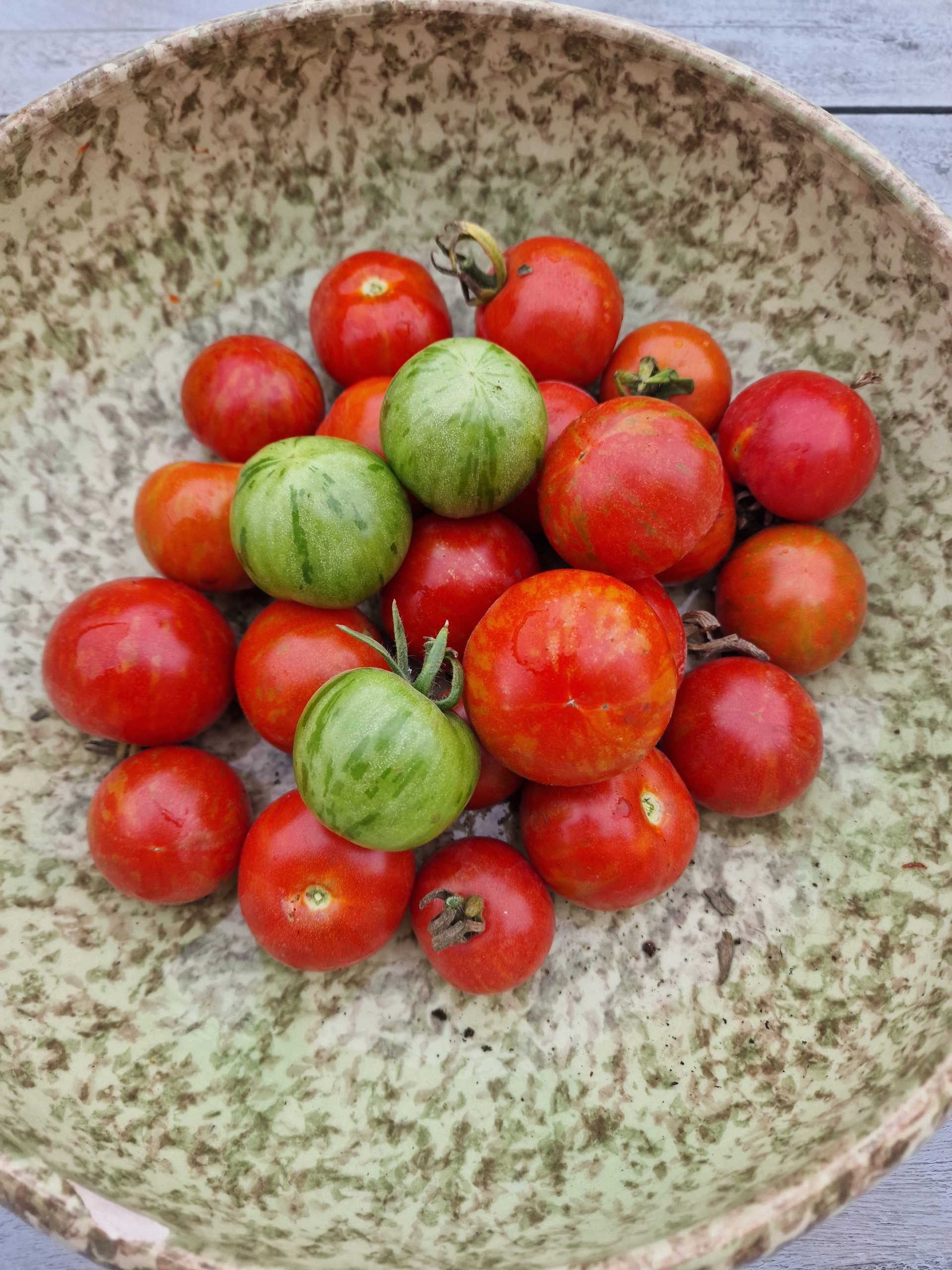 25 Semi di Pomodoro Zebra - Vero vegetale antico - semi contadini riproducibili - SemiWild