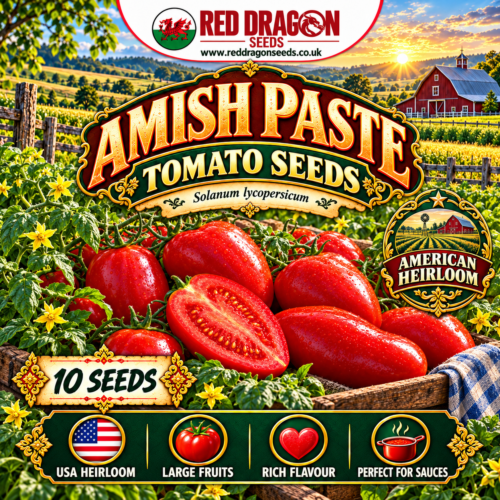 Amish Paste Tomato Seeds
