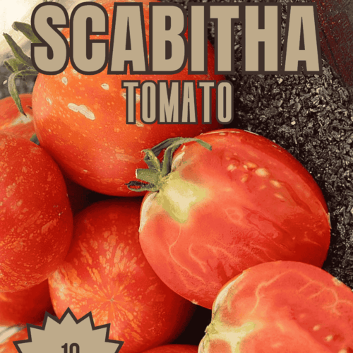 Scabitha Tomato Seeds